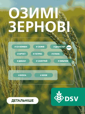dsv-ukraina dsv-ukraina
