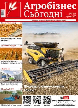 Кінцевий356